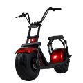 2020 Best Seller Top Speed 60km/H 21.8ah/13.6ah Black Citycoco Scooter